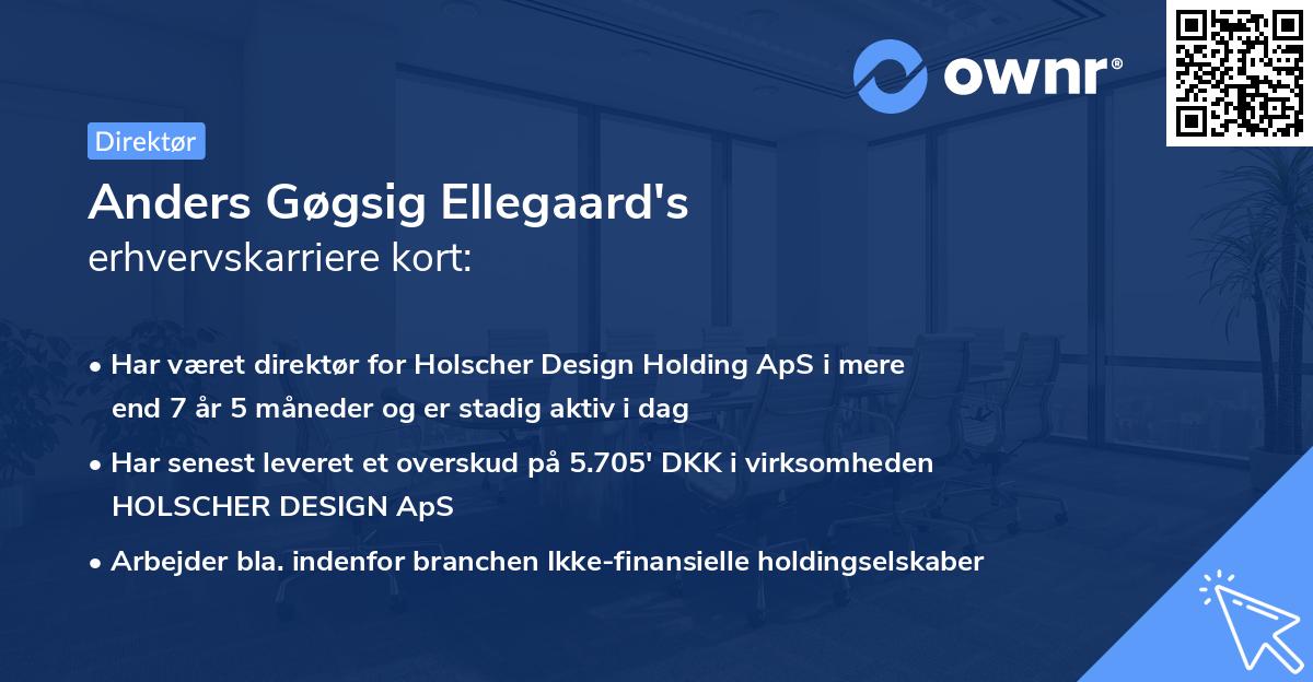 Anders Gøgsig Ellegaard's erhvervskarriere kort
