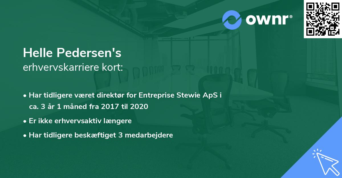 Helle Pedersen's erhvervskarriere kort