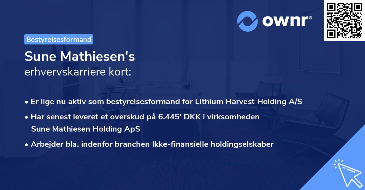 Sune Mathiesen's erhvervskarriere kort