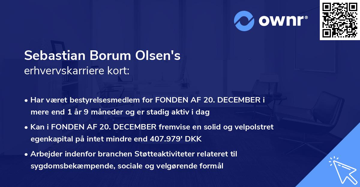 Sebastian Borum Olsen's erhvervskarriere kort