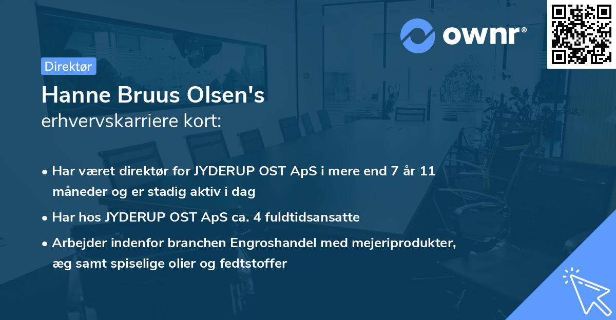 Hanne Bruus Olsen's erhvervskarriere kort