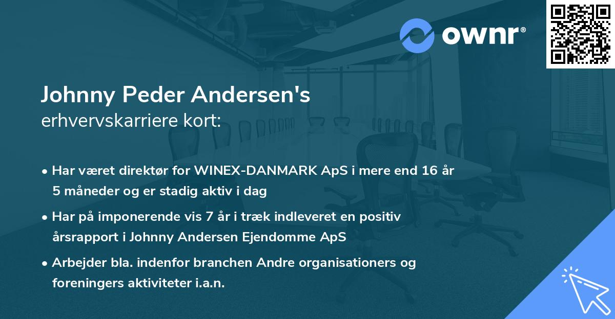 Johnny Peder Andersen's erhvervskarriere kort