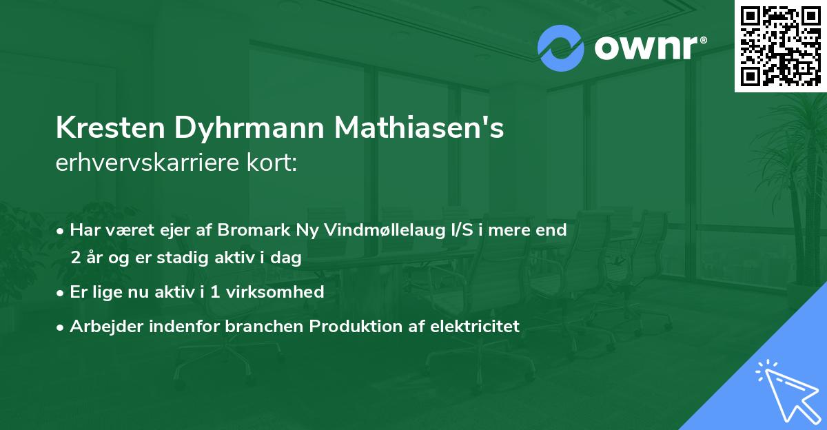 Kresten Dyhrmann Mathiasen's erhvervskarriere kort