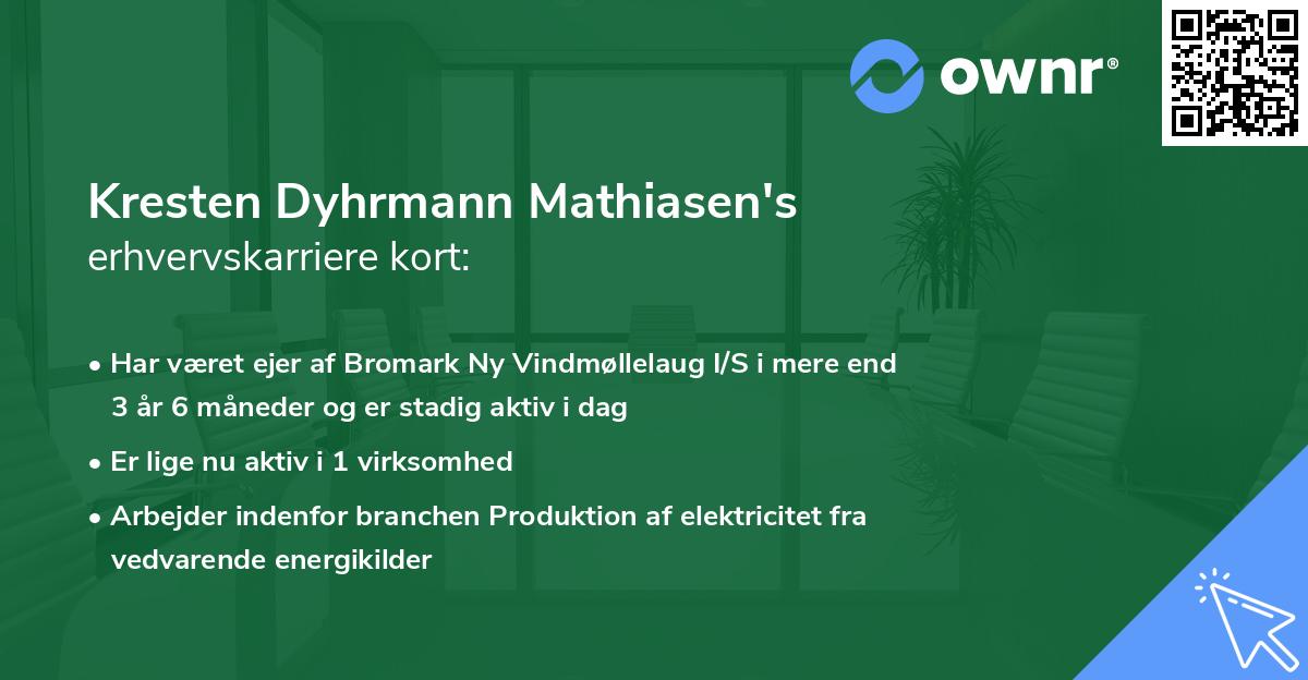 Kresten Dyhrmann Mathiasen's erhvervskarriere kort