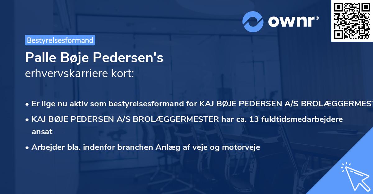 Palle Bøje Pedersen's erhvervskarriere kort