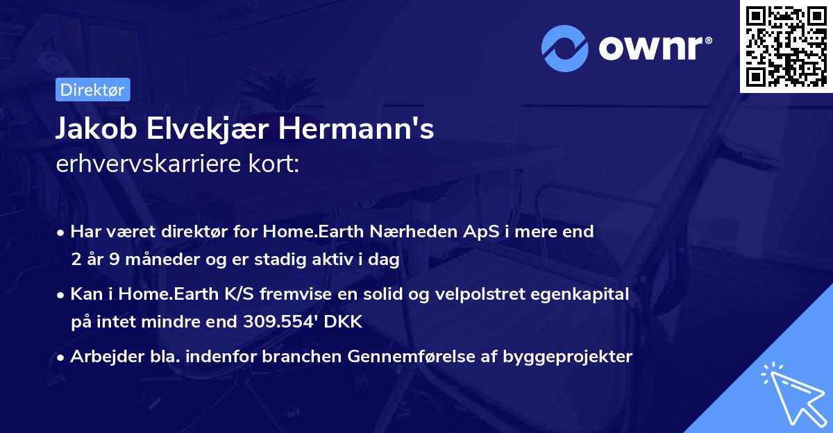 Jakob Elvekjær Hermann's erhvervskarriere kort