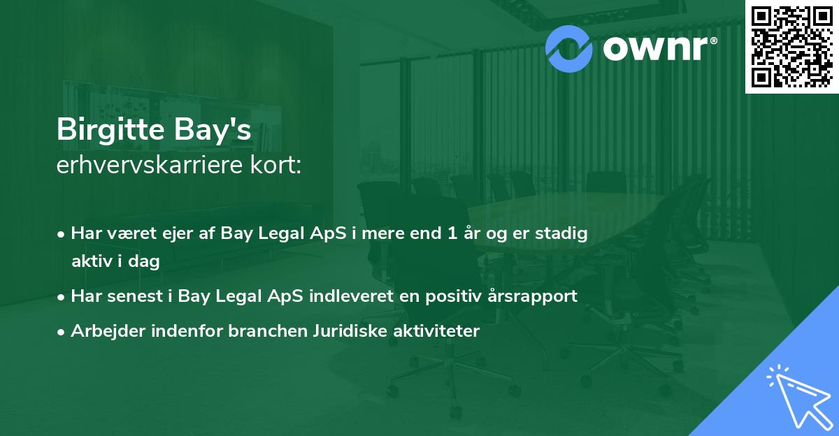 Birgitte Bay's erhvervskarriere kort
