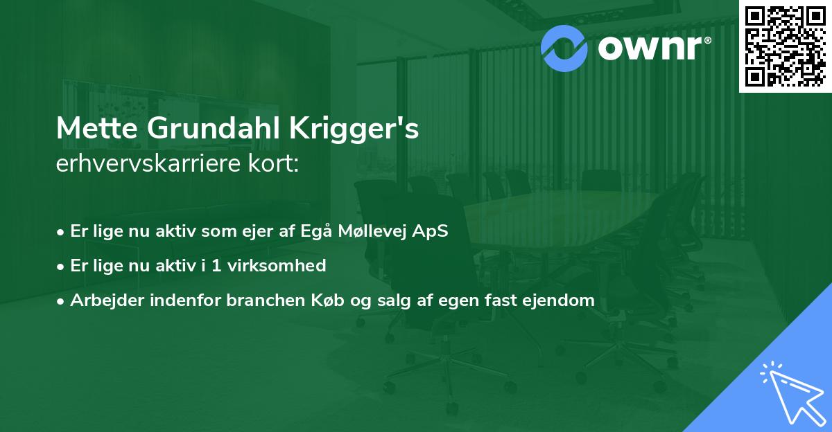 Mette Grundahl Krigger's erhvervskarriere kort