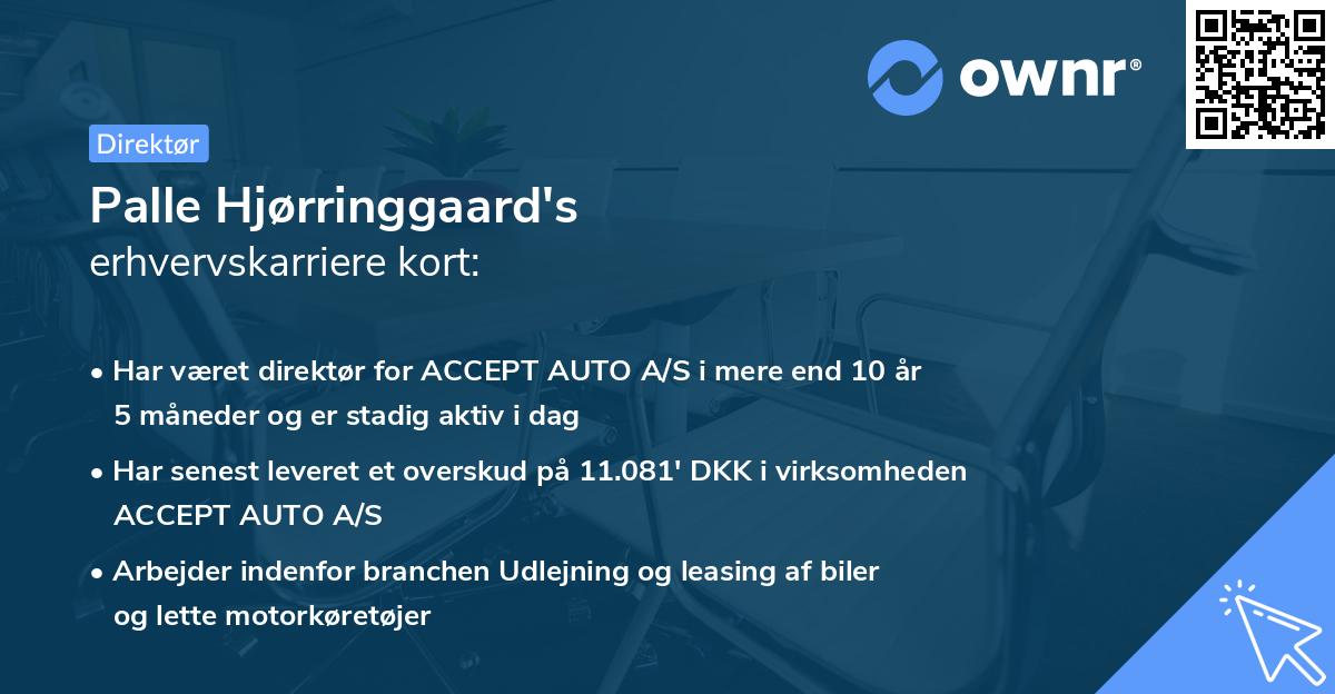 Palle Hjørringgaard's erhvervskarriere kort