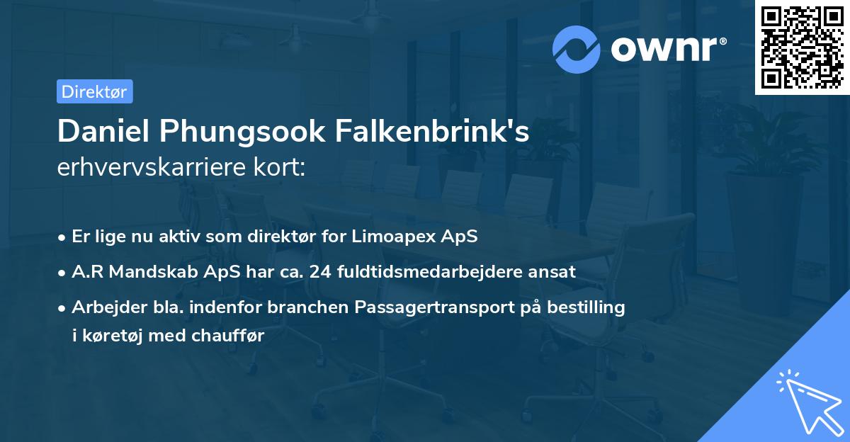 Daniel Phungsook Falkenbrink's erhvervskarriere kort