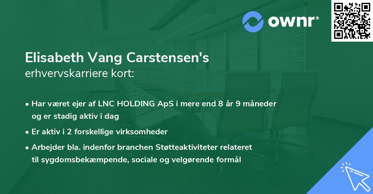 Elisabeth Vang Carstensen's erhvervskarriere kort