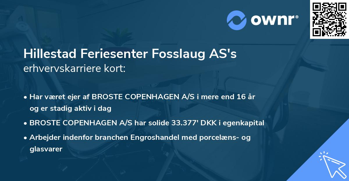 Hillestad Feriesenter Fosslaug AS's erhvervskarriere kort