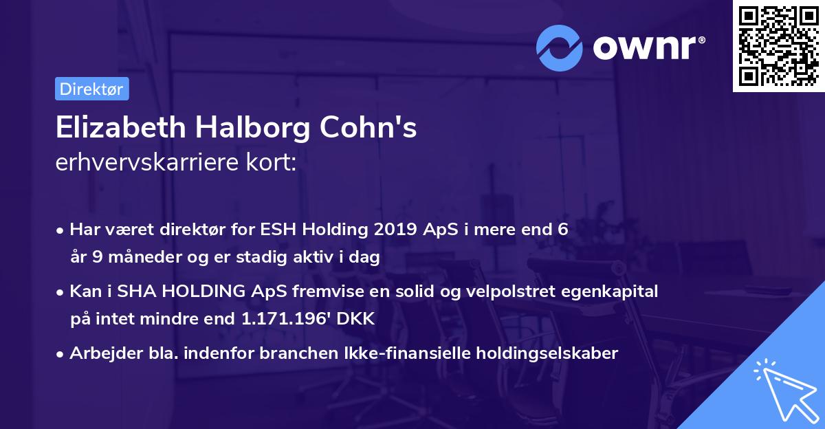 Elizabeth Halborg Cohn's erhvervskarriere kort