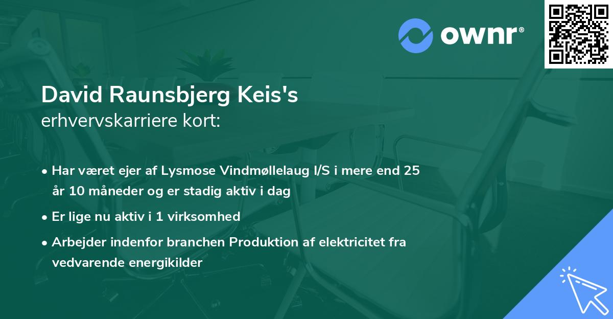 David Raunsbjerg Keis's erhvervskarriere kort