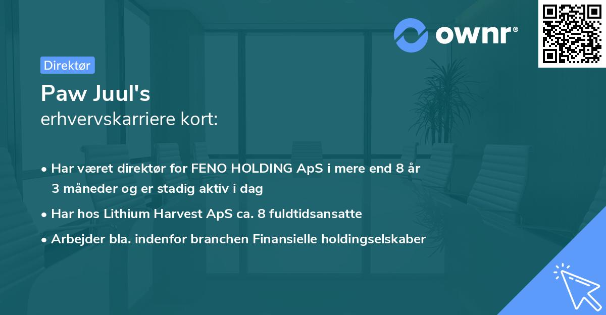 Paw Juul's erhvervskarriere kort