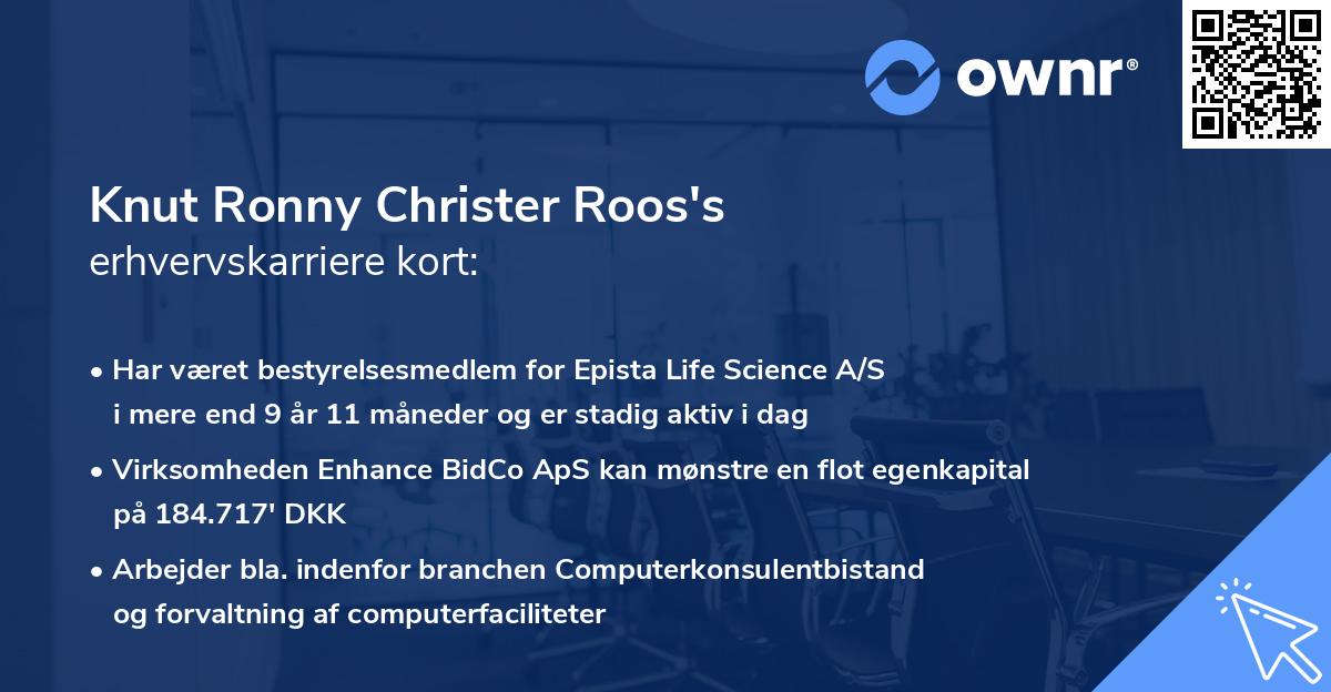 Knut Ronny Christer Roos's erhvervskarriere kort