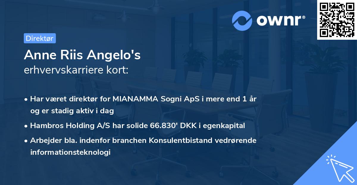 Anne Riis Angelo's erhvervskarriere kort