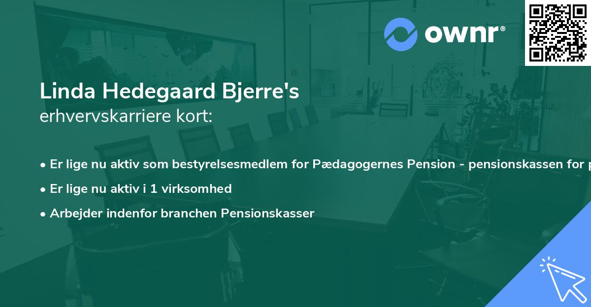 Linda Hedegaard Bjerre's erhvervskarriere kort