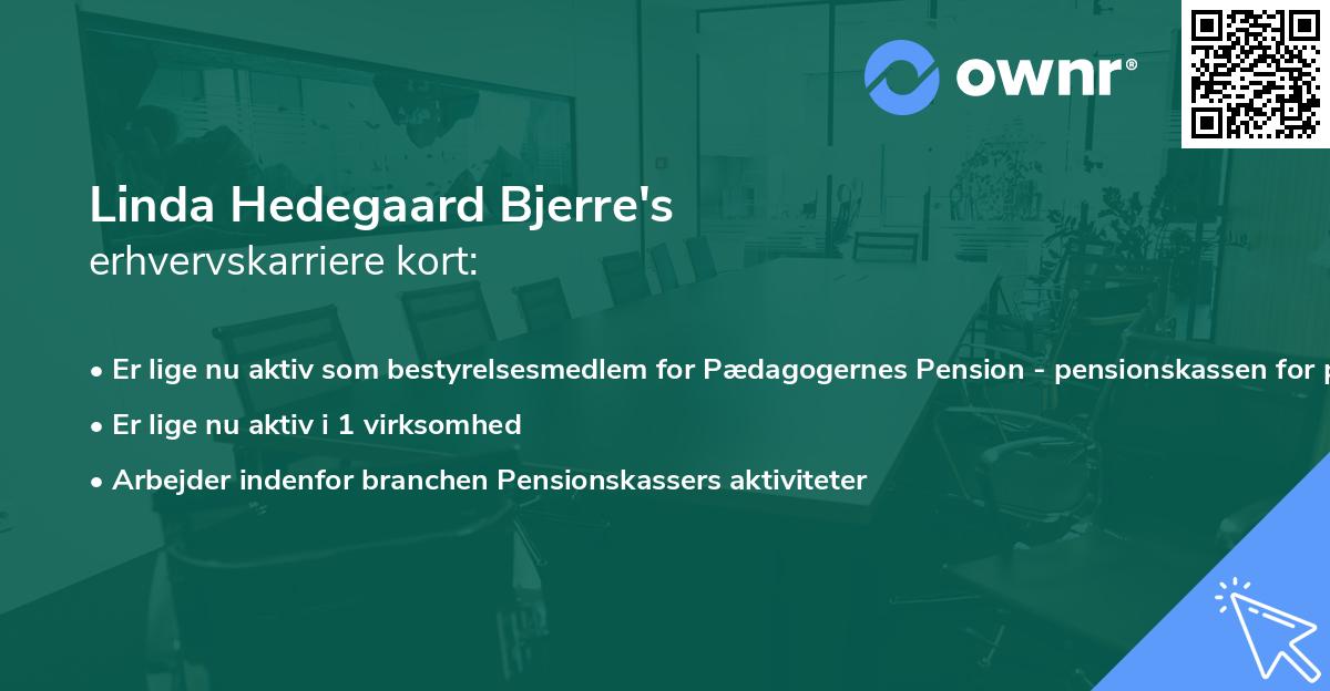 Linda Hedegaard Bjerre's erhvervskarriere kort