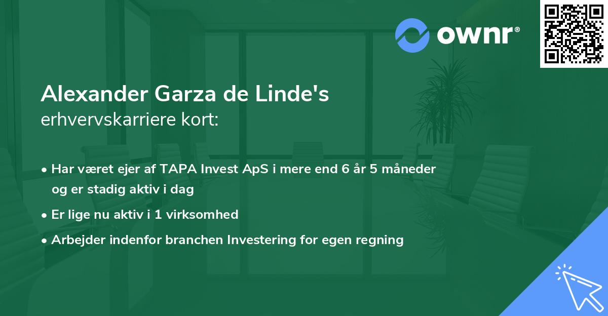 Alexander Garza de Linde's erhvervskarriere kort