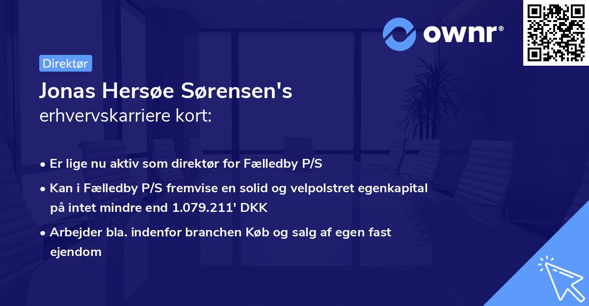 Jonas Hersøe Sørensen's erhvervskarriere kort