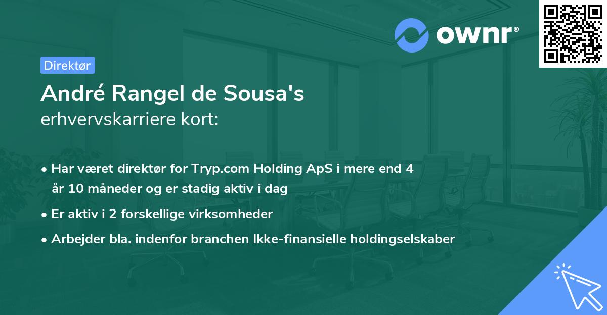 André Rangel de Sousa's erhvervskarriere kort