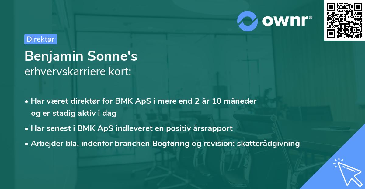 Benjamin Sonne's erhvervskarriere kort