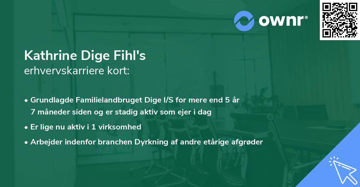 Kathrine Dige Fihl's erhvervskarriere kort