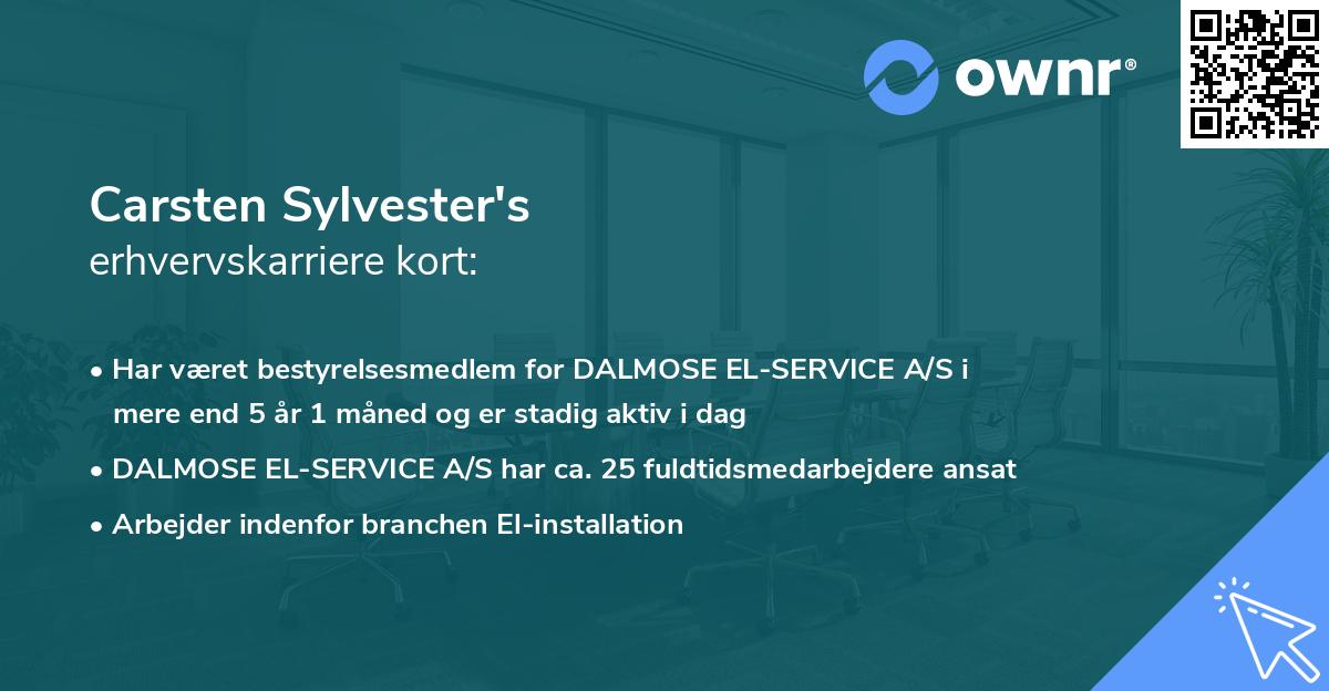 Carsten Sylvester's erhvervskarriere kort