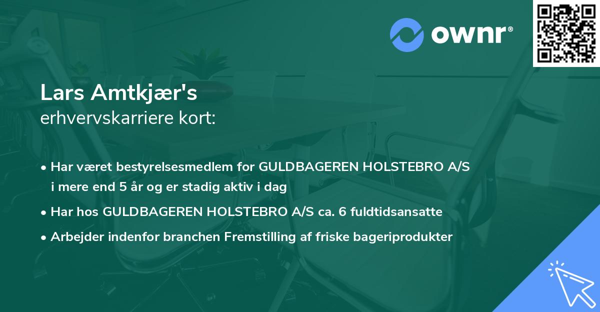 Lars Amtkjær's erhvervskarriere kort