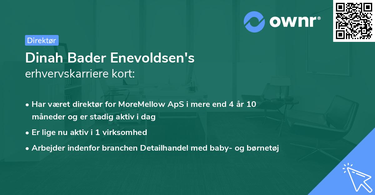 Dinah Bader Enevoldsen's erhvervskarriere kort