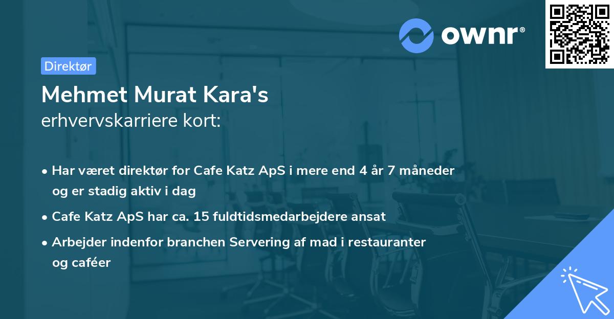 Mehmet Murat Kara's erhvervskarriere kort