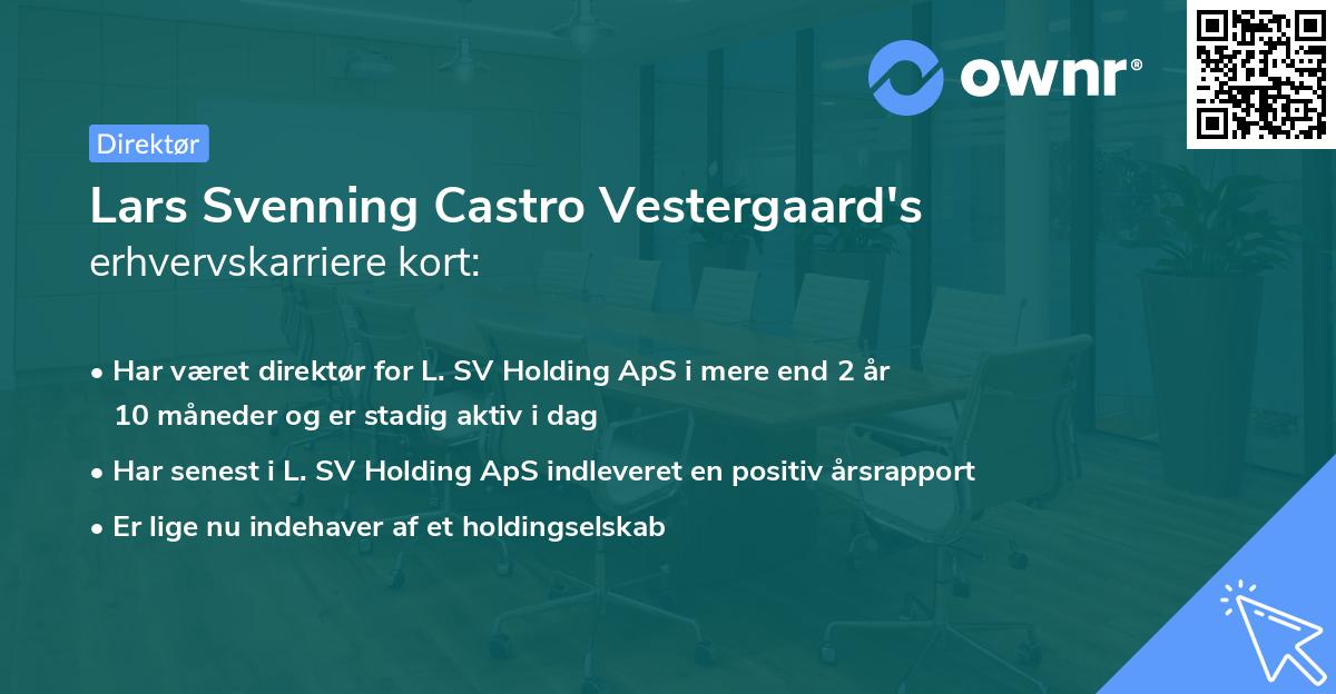 Lars Svenning Castro Vestergaard's erhvervskarriere kort