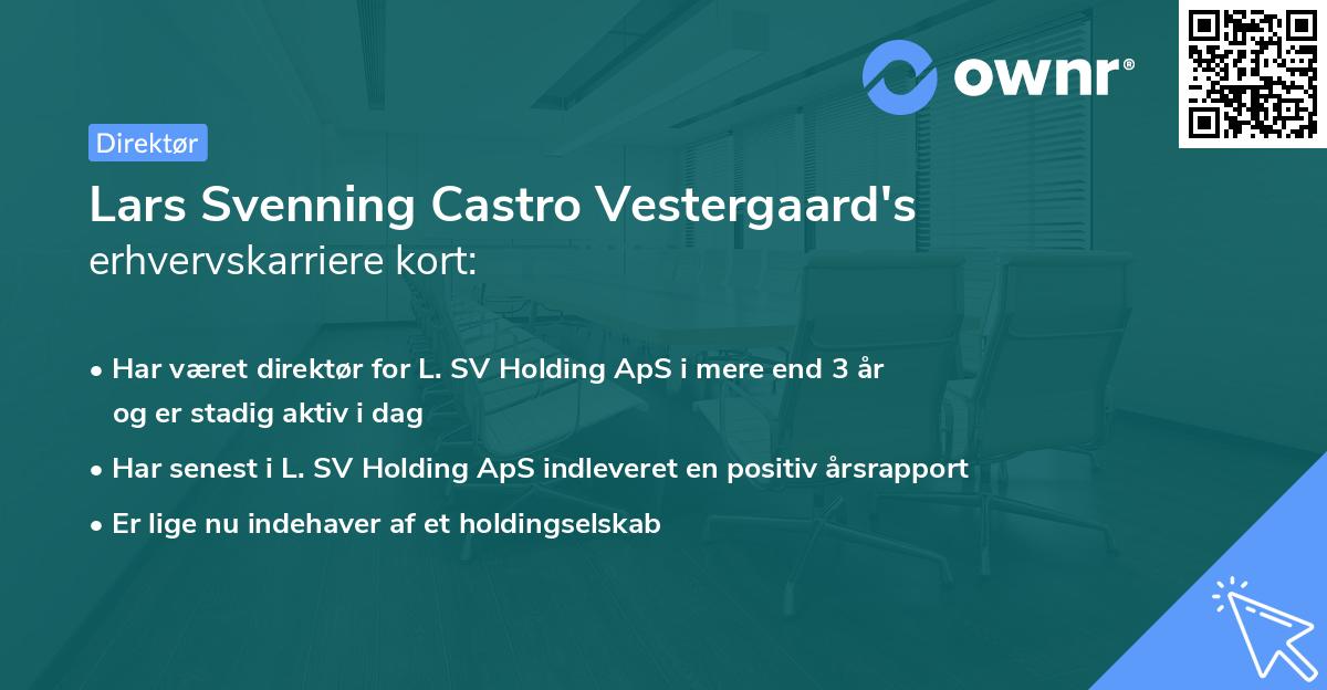 Lars Svenning Castro Vestergaard's erhvervskarriere kort