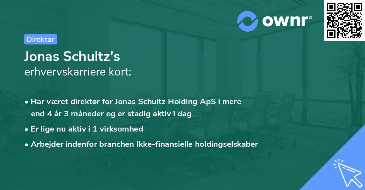 Jonas Schultz's erhvervskarriere kort