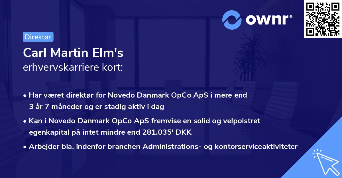 Carl Martin Elm's erhvervskarriere kort