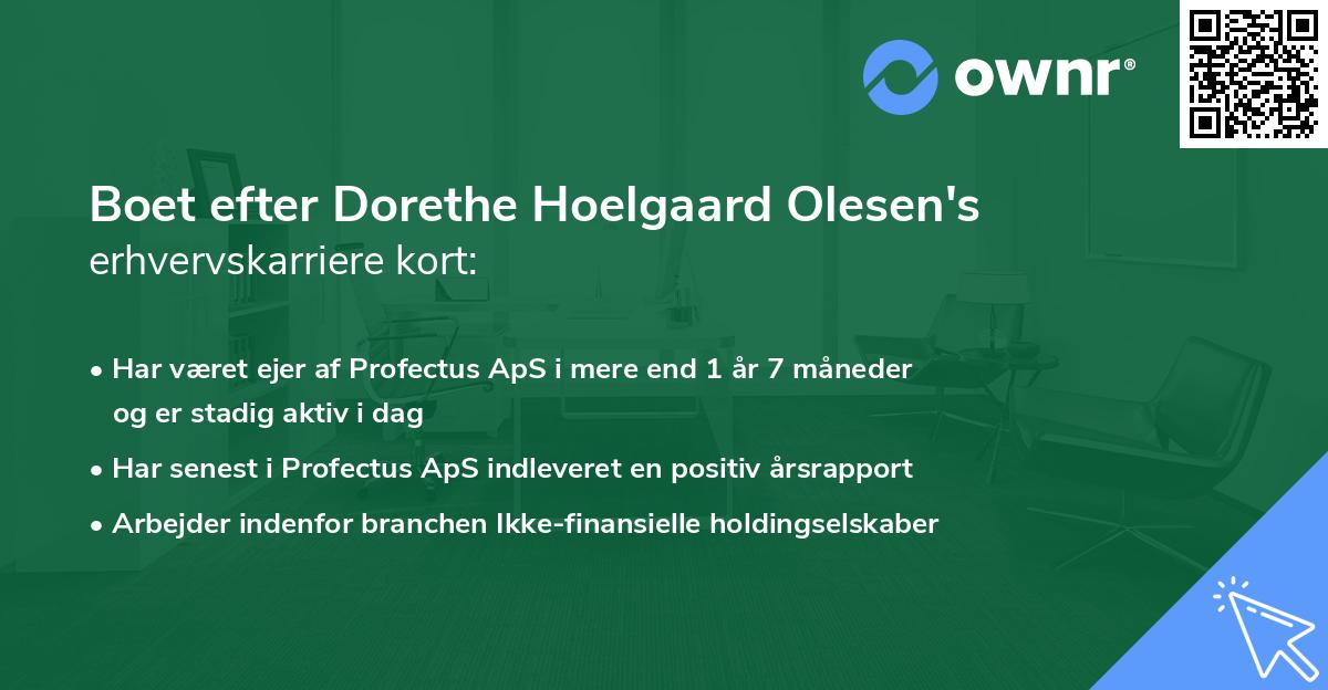 Boet efter Dorethe Hoelgaard Olesen's erhvervskarriere kort