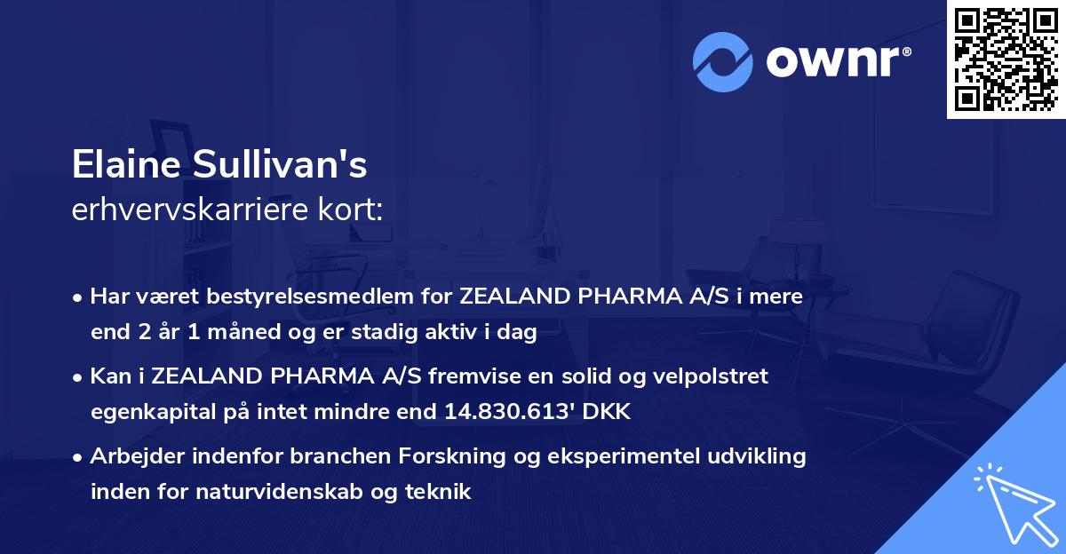 Elaine Sullivan's erhvervskarriere kort