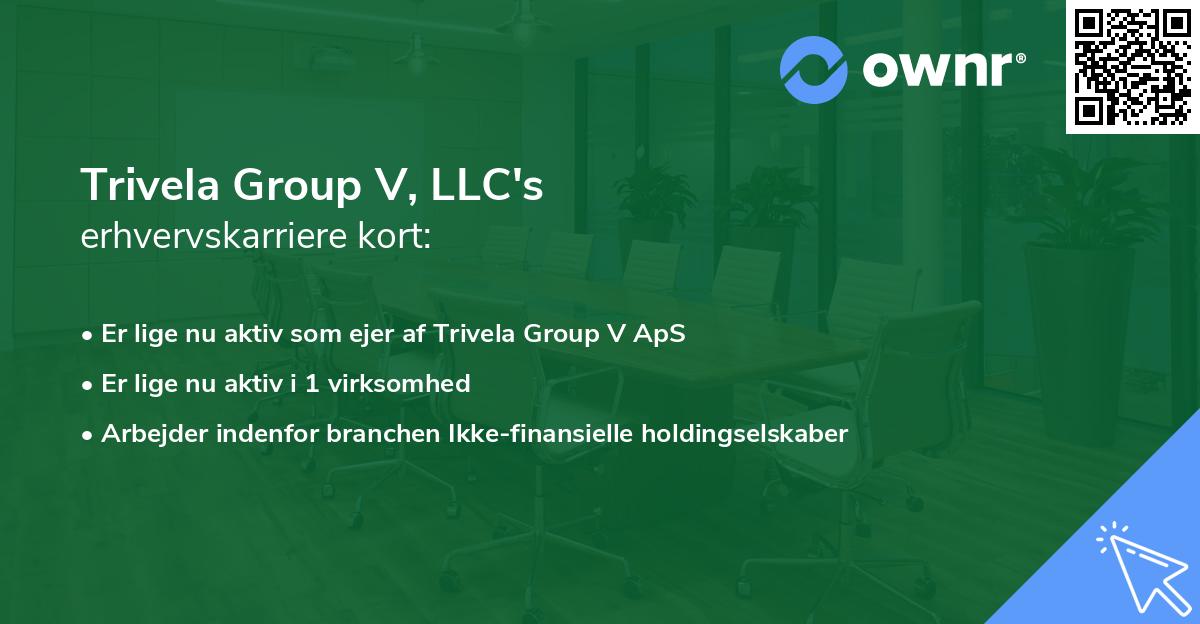 Trivela Group V, LLC's erhvervskarriere kort