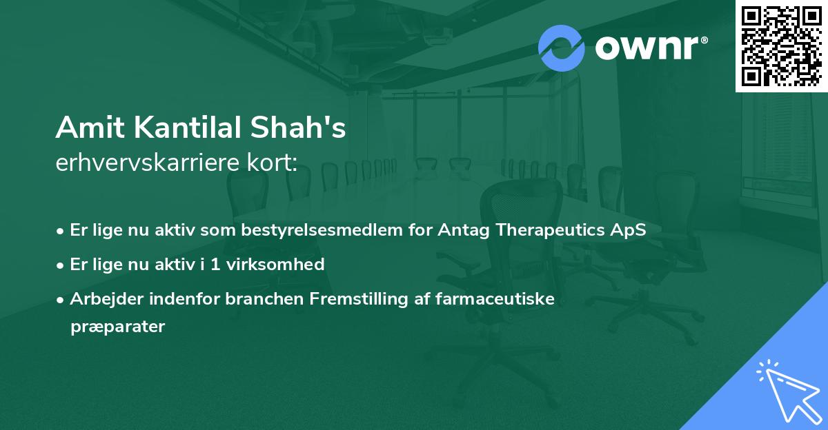 Amit Kantilal Shah's erhvervskarriere kort