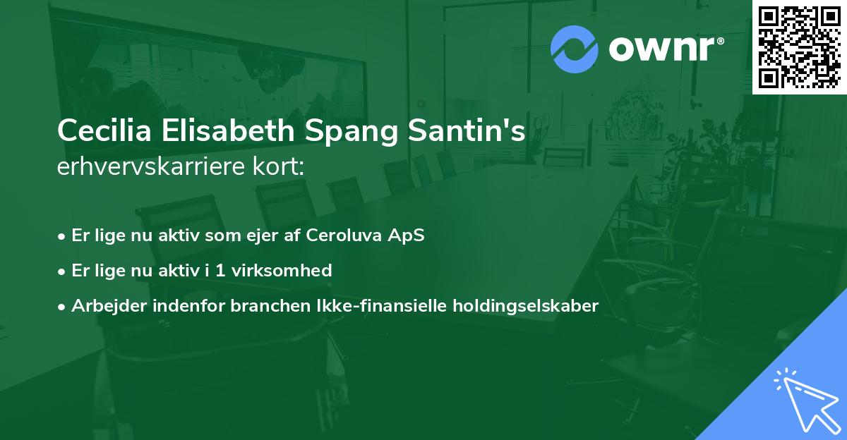 Cecilia Elisabeth Spang Santin's erhvervskarriere kort