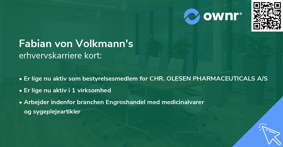 Fabian von Volkmann's erhvervskarriere kort