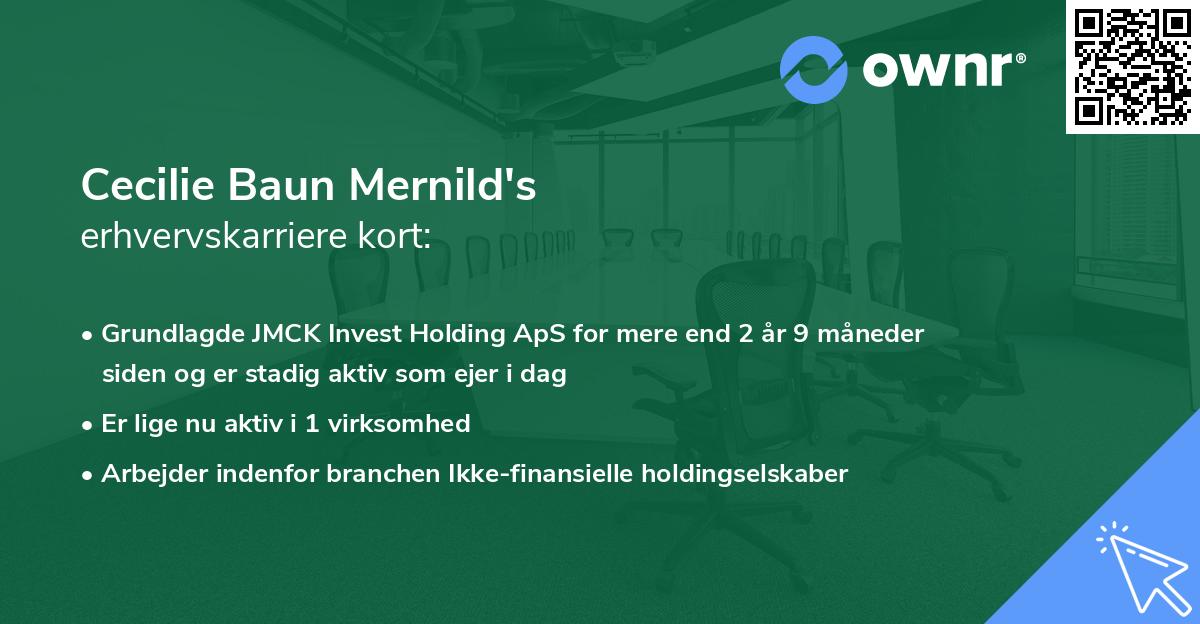Cecilie Baun Mernild's erhvervskarriere kort