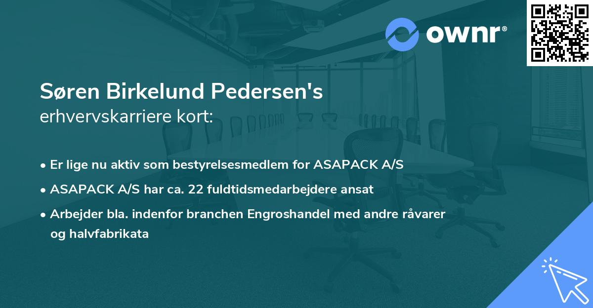 Søren Birkelund Pedersen's erhvervskarriere kort