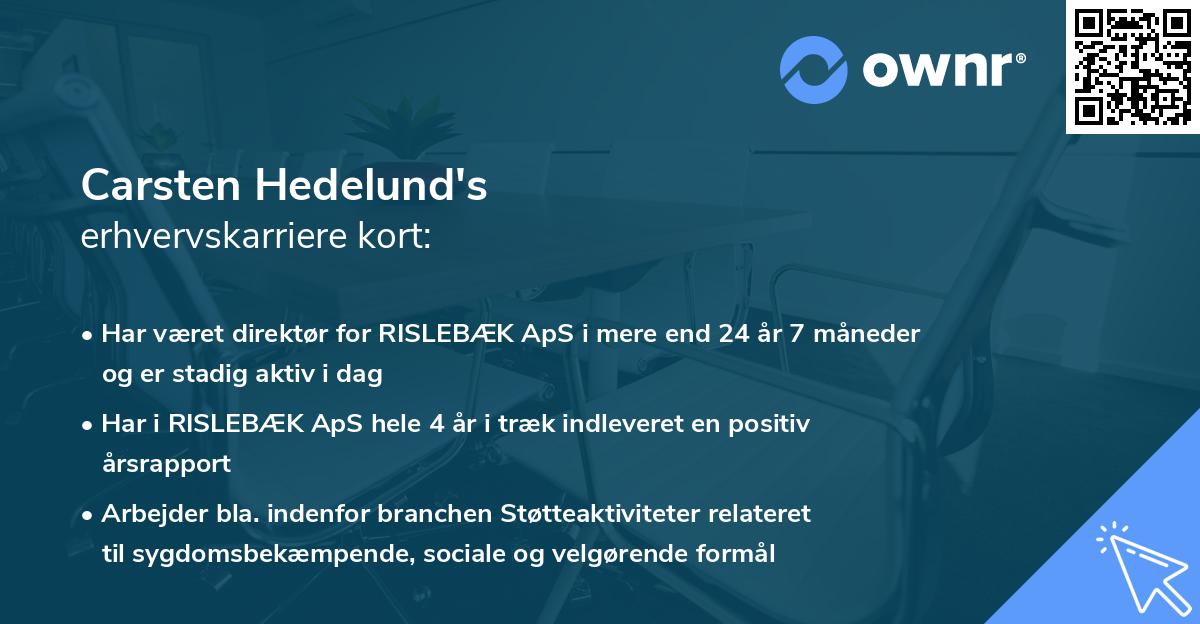 Carsten Hedelund's erhvervskarriere kort