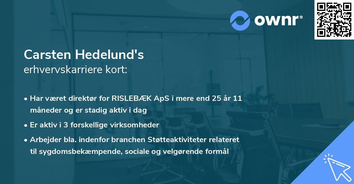 Carsten Hedelund's erhvervskarriere kort