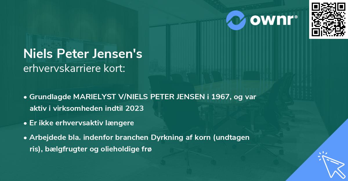 Niels Peter Jensen's erhvervskarriere kort