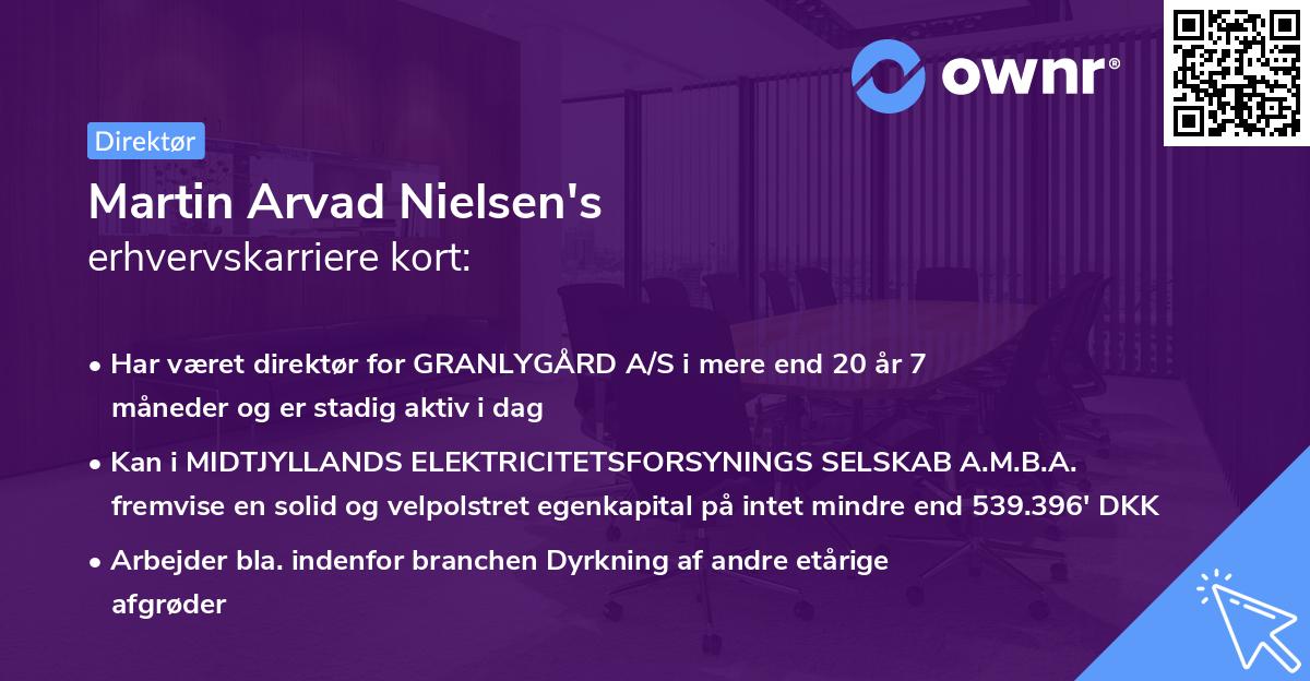 Martin Arvad Nielsen's erhvervskarriere kort