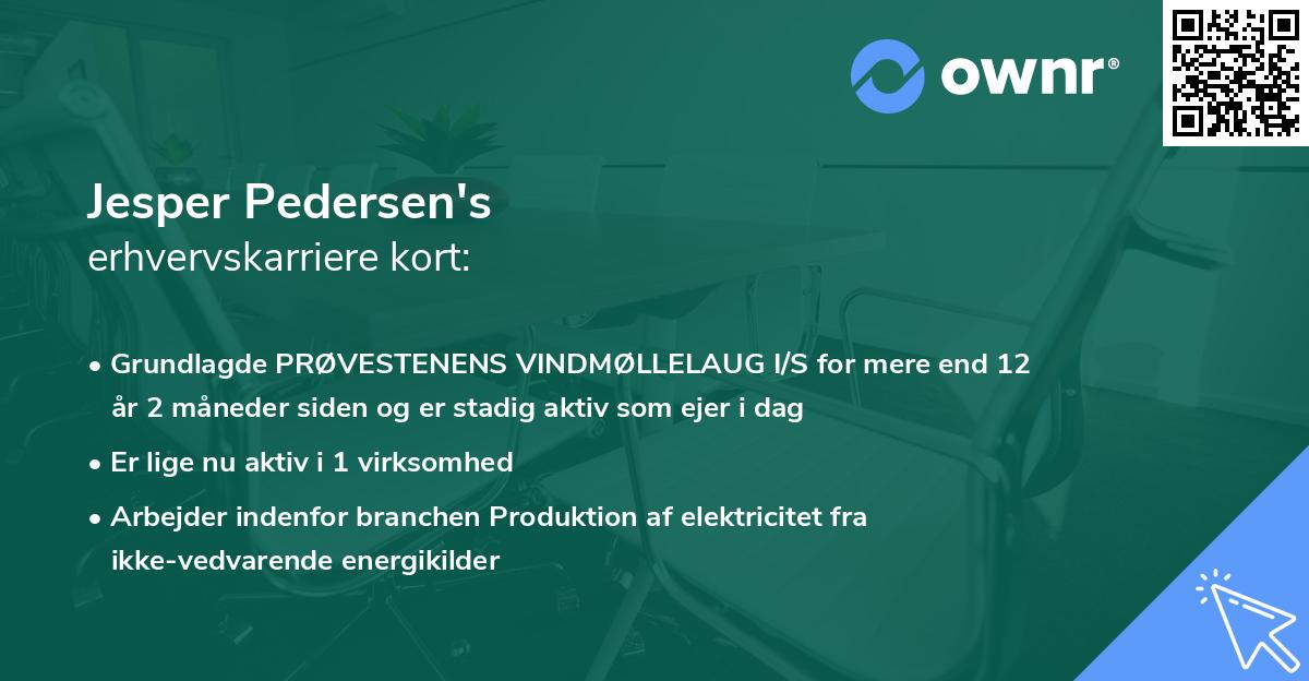 Jesper Pedersen's erhvervskarriere kort