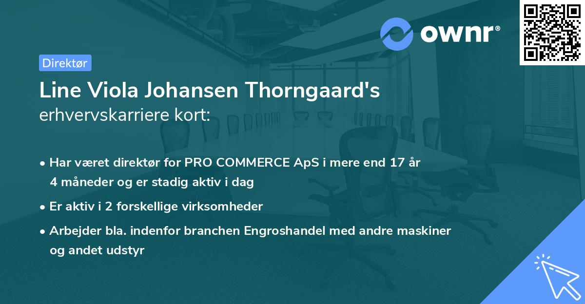 Line Viola Johansen Thorngaard's erhvervskarriere kort